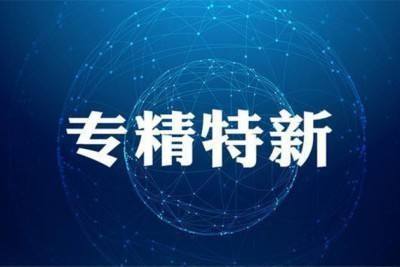 熱烈祝賀我公司被認定為山東省“專精特新”中小企業